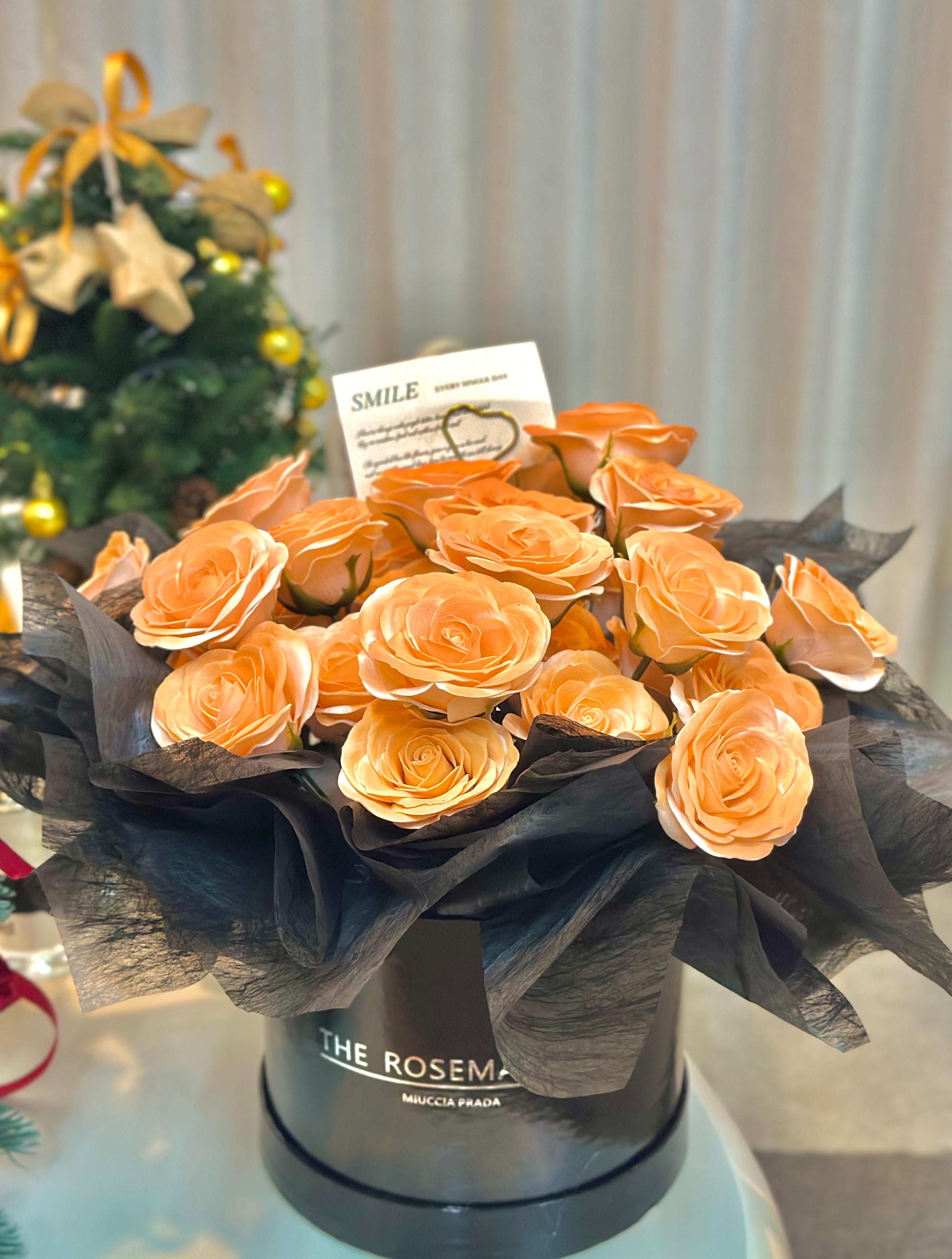 Sunset Peach Radiance